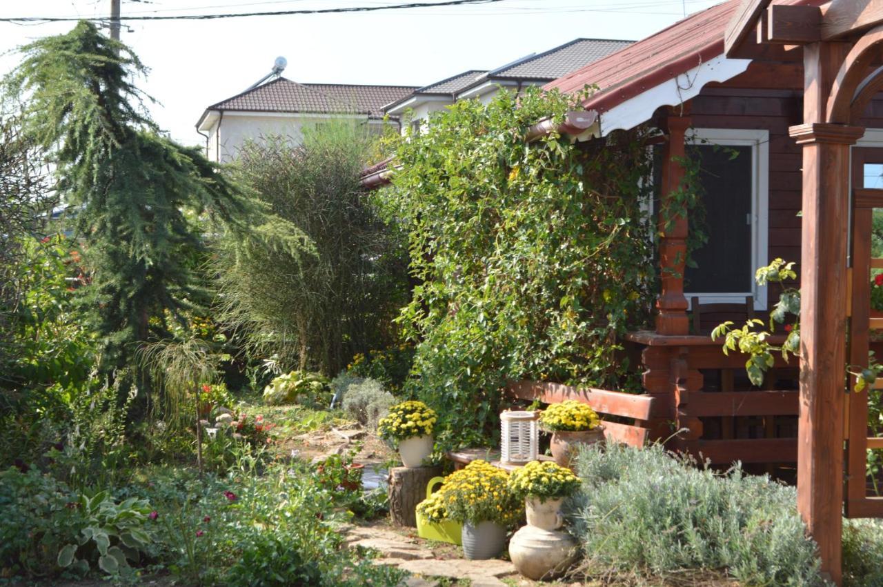 Cabane De Lemn Costinesti Exterior photo