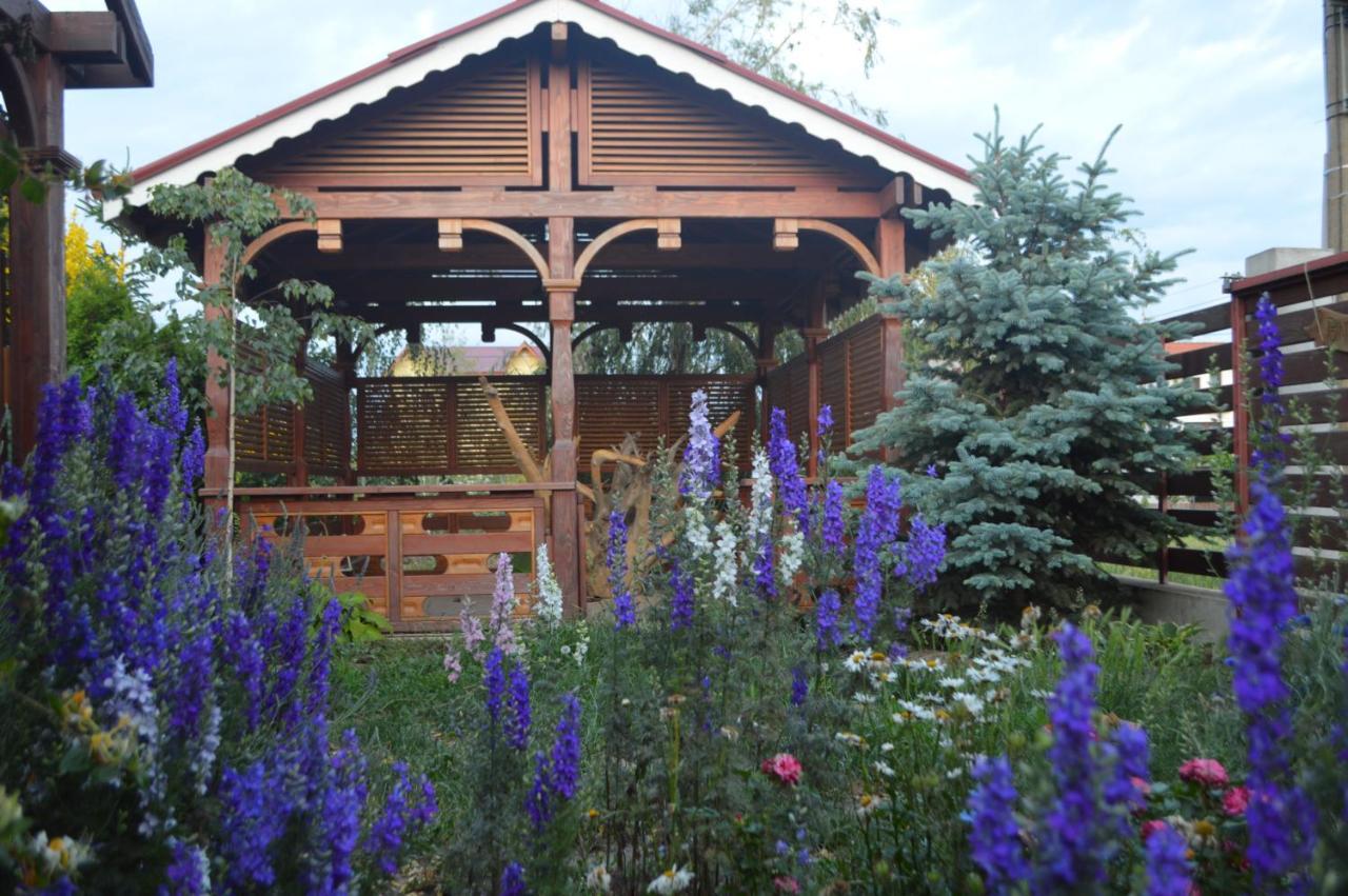Cabane De Lemn Costinesti Exterior photo