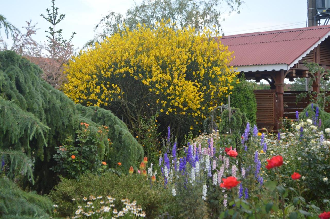 Cabane De Lemn Costinesti Exterior photo