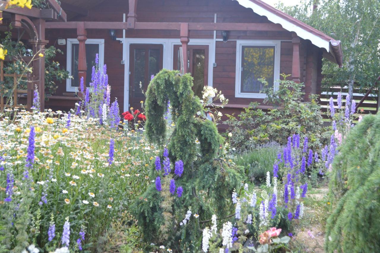 Cabane De Lemn Costinesti Exterior photo